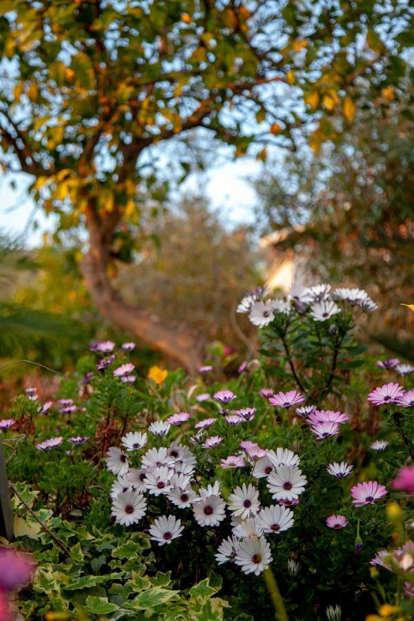 Villa Panoramica Terracina Εξωτερικό φωτογραφία